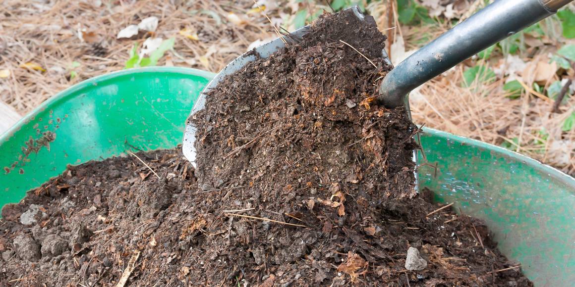 Best Uses for Wood Chips from a Chipper UpgradedGear