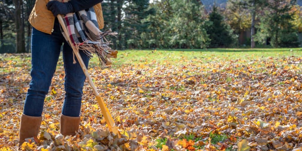 Best Leaf Picker Upper for 2023 UpgradedGear